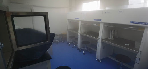 长沙学校除甲醛